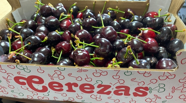 Cerezas frescas en envase Cartonplas