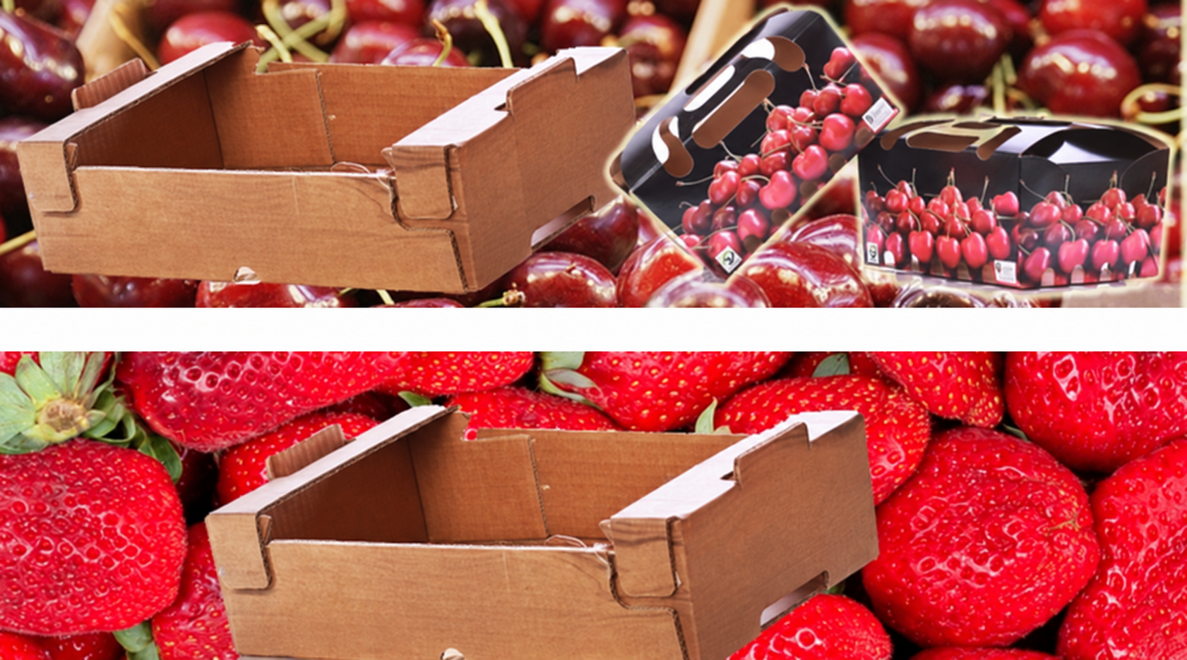 Envases personalizados de cartón para fruta