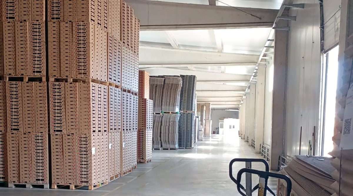 Cajas preparadas para distribución